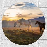 Muursticker Cirkel - Paarden in Weiland met Zonsopgang - 30x30 cm Foto op Muursticker