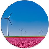 Dibond Muurcirkel - Bloemen - Bloemenveld - Tulpen - Landschap - Windmolens - Nederland - Kleuren - 70x70 cm Foto op Aluminium Muurcirkel (met ophangsysteem)