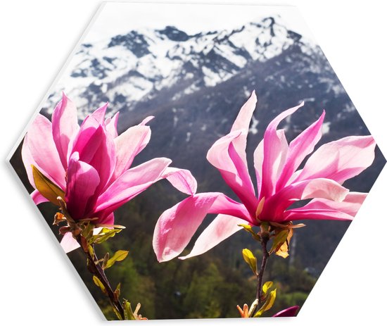 PVC Schuimplaat Hexagon - Roze Bloemen met Besneeuwde Bergen op de Achtergrond - 30x26.1 cm Foto op Hexagon (Met Ophangsysteem)