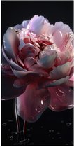 Poster Glanzend – Roze Chineese Pioenroos - 50x100 cm Foto op Posterpapier met Glanzende Afwerking