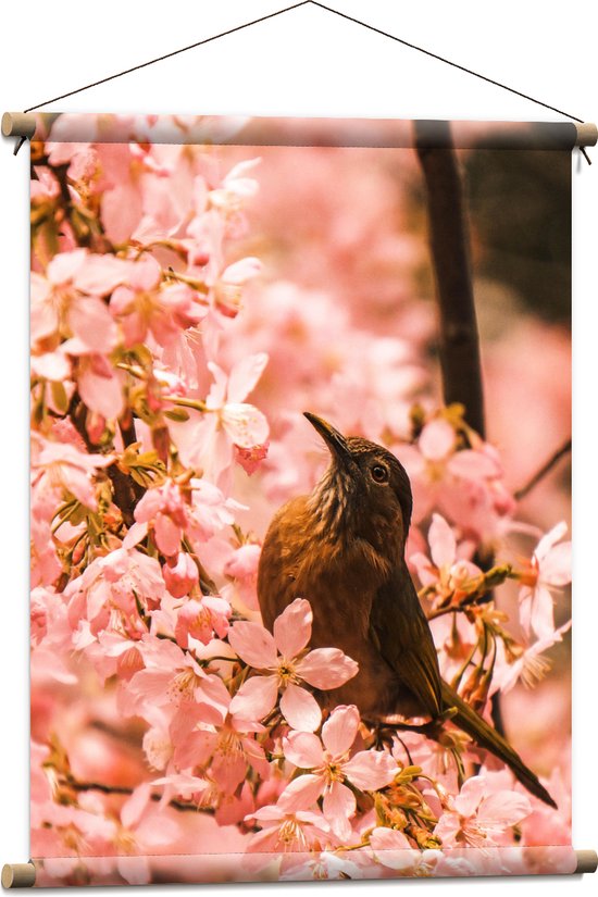 Textielposter - Bloemen - Dieren - Vogel - Kleuren - 60x80 cm Foto op Textiel