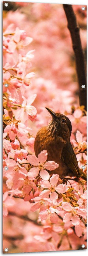 Tuinposter – Bloemen - Dieren - Vogel - Kleuren - 50x150 cm Foto op Tuinposter (wanddecoratie voor buiten en binnen)