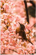 Poster Glanzend – Bloemen - Dieren - Vogel - Kleuren - 80x120 cm Foto op Posterpapier met Glanzende Afwerking