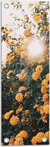 Tuinposter – Bloemen - Planten - Groen - Oranje - Zon - 20x60 cm Foto op Tuinposter (wanddecoratie voor buiten en binnen)