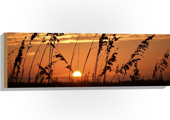 Hout - Zonsondergang in het Weiland - 90x30 cm - 9 mm dik - Foto op Hout (Met Ophangsysteem)