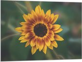 Vlag - Gele Zonnebloem - 100x75 cm Foto op Polyester Vlag