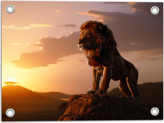 Tuinposter – Leeuw op Rots met Zonsondergang - 40x30 cm Foto op Tuinposter (wanddecoratie voor buiten en binnen)
