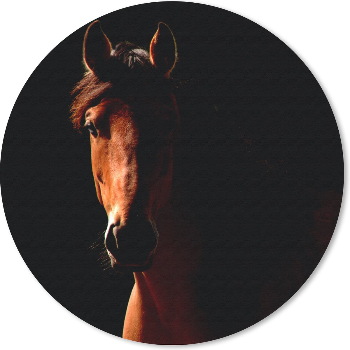 Muismat rond 50x50 cm - Mousepad Paard - Licht - Portret - Ronde muismatten