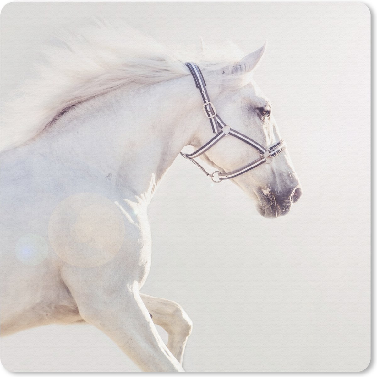 Muismat 20x20 cm - Mousepad Paard - Wit - Manen - Muismatten