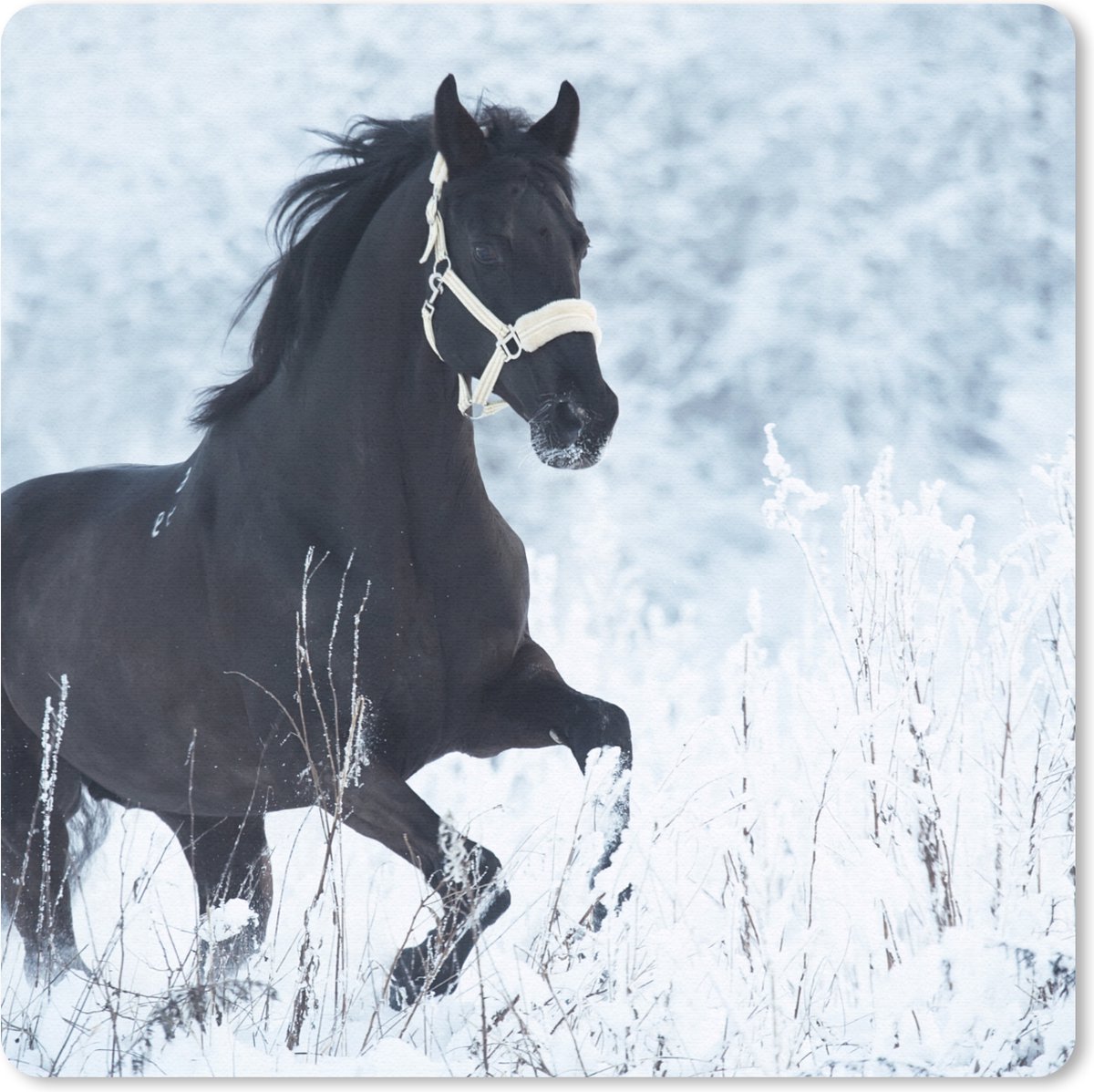 Muismat 30x30 cm - Mousepad Paard - Sneeuw - Winter - Muismatten