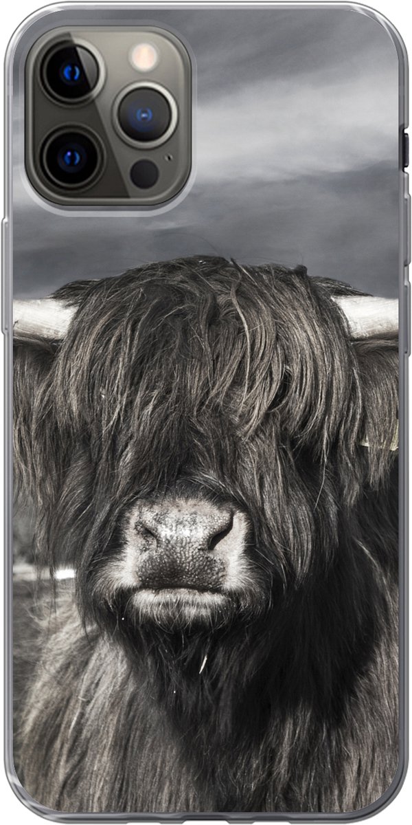 Telefoonhoesje Geschikt voor iPhone 13 Pro hoesje - Schotse Hooglander - Dieren - Hoorns - Siliconen Telefoonhoesje Telefoonhoesje