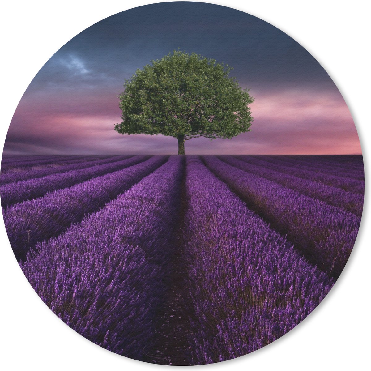 Muismat rond 20x20 cm - Mousepad Lavendel - Boom - Paars - Ronde muismatten