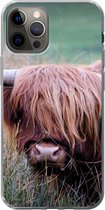Coque iPhone 12 Pro - Highlander écossais - Cornes - Herbe - Coque en Siliconen