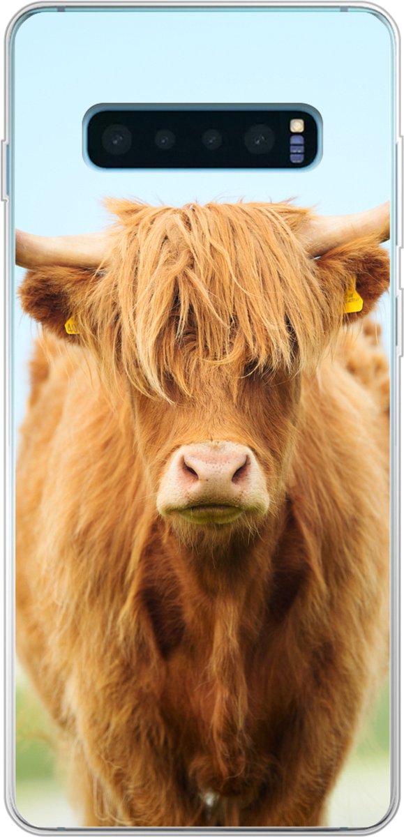 Telefoonhoesje Geschikt voor Samsung Galaxy S10 Plus hoesje - Schotse hooglander - Haar - Gras - Siliconen Telefoonhoesje Telefoonhoesje