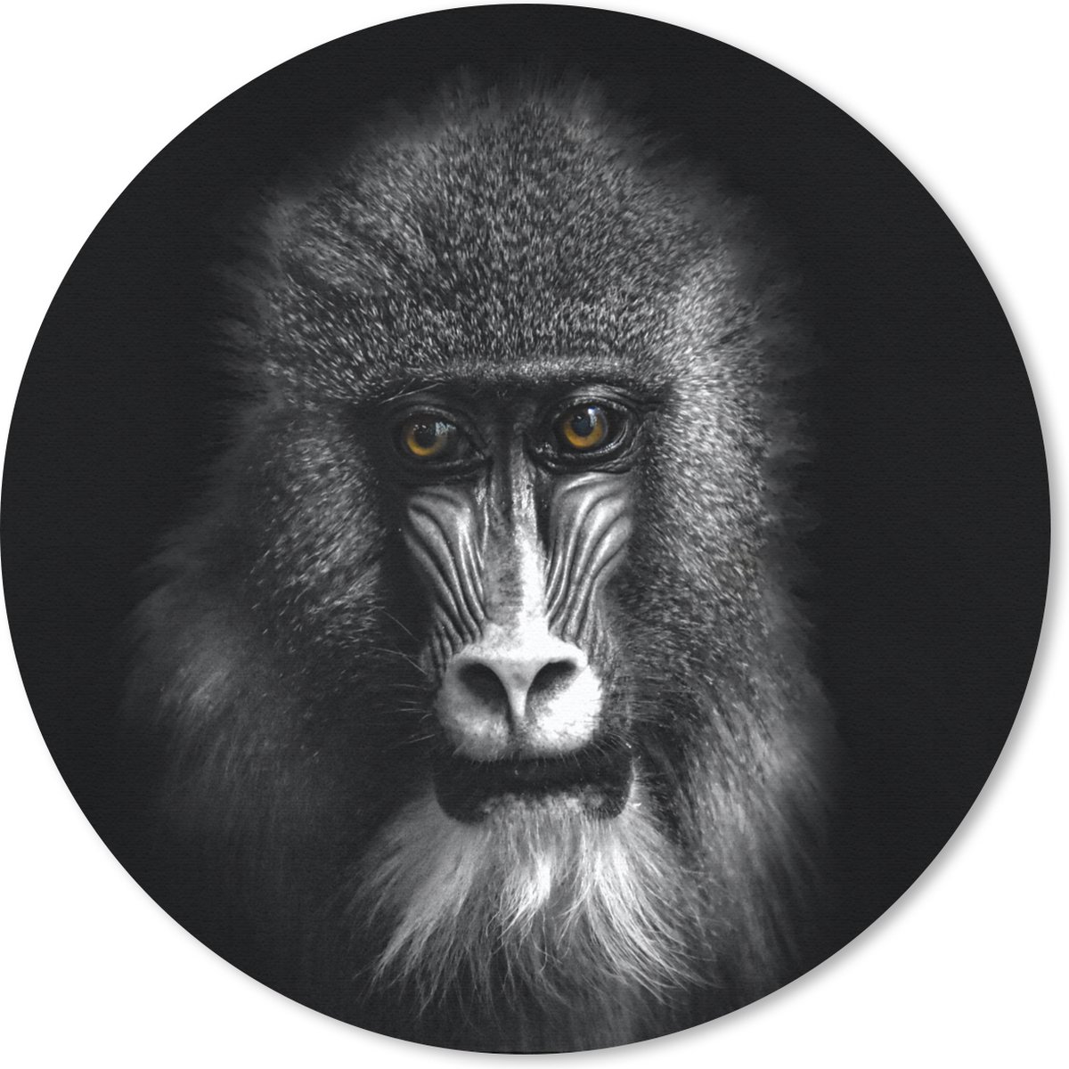 Muismat rond 40x40 cm - Mousepad Aap - Dieren - Ogen - Bruin - Zwart wit - Ronde muismatten