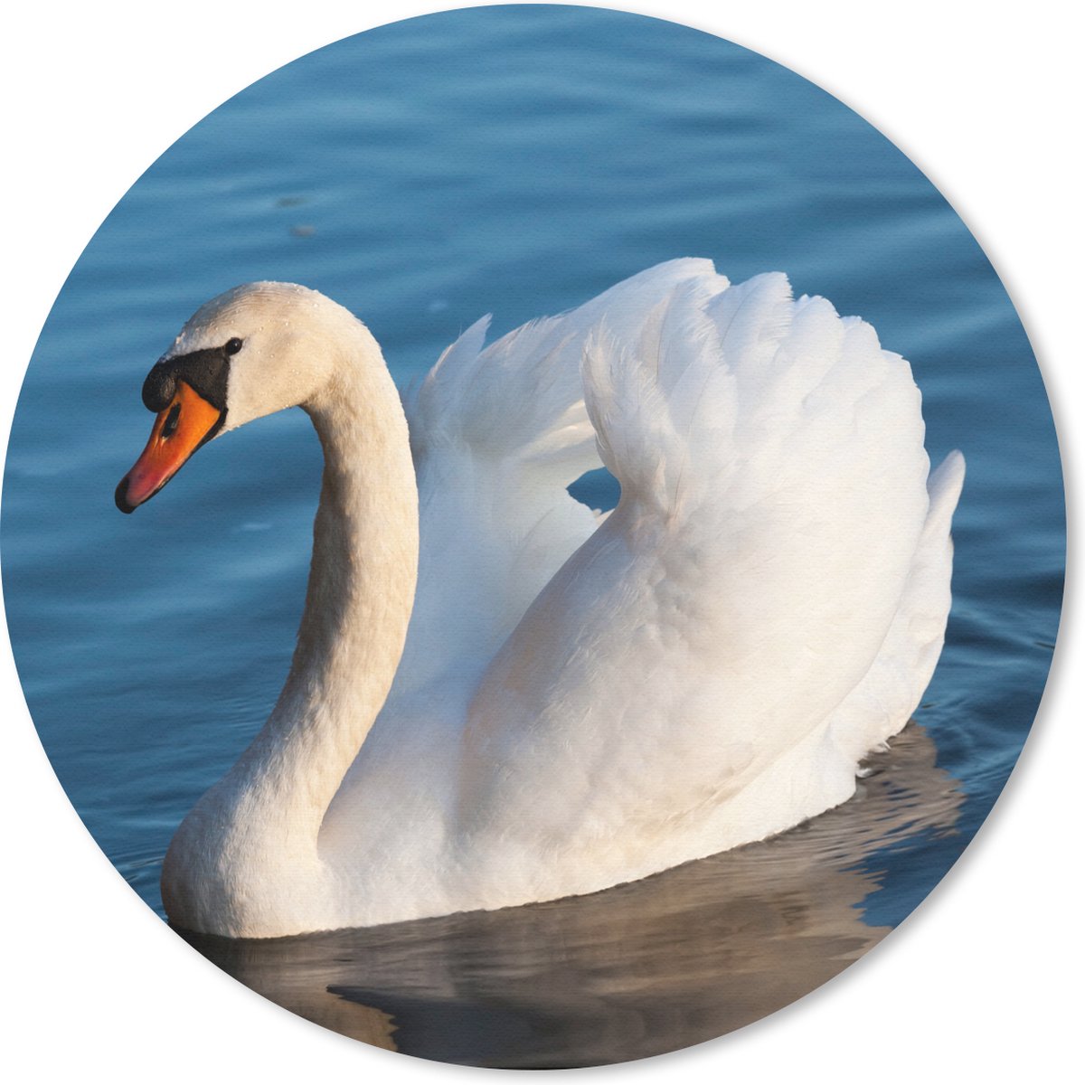 Muismat rond 40x40 cm - Mousepad Zwaan - Water - Vogel - Wit - Ronde muismatten