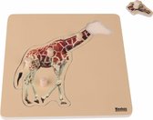 Nienhuis Montessori Kinderpuzzel Giraffe - Dieren puzzel - Houten puzzel - Houten speelgoed - Educatief speelgoed - Houten dieren speelgoed - 5 stukjes - Vanaf 2 jaar