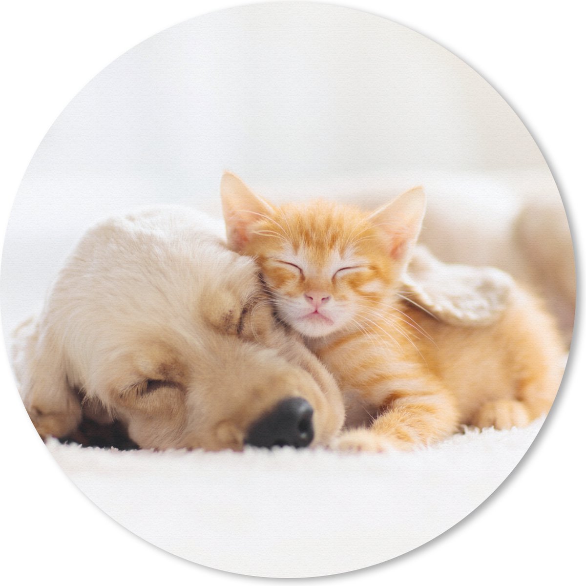 Muismat rond 30x30 cm - Mousepad Dieren - Hond - Kitten - Rood - Ronde muismatten