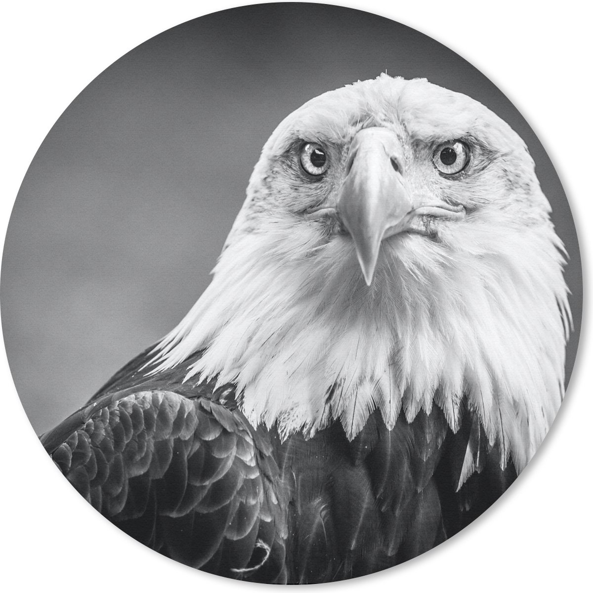 Muismat rond 30x30 cm - Mousepad Arend - Roofvogel - Zwart - Wit - Dieren - Ronde muismatten