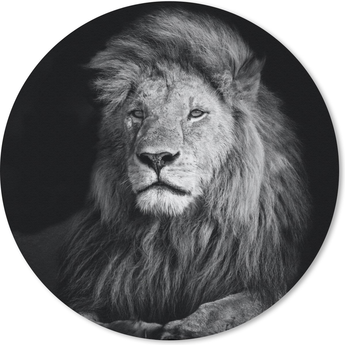Muismat rond 50x50 cm - Mousepad Wilde dieren - Leeuw - zwart - Wit - Ronde muismatten