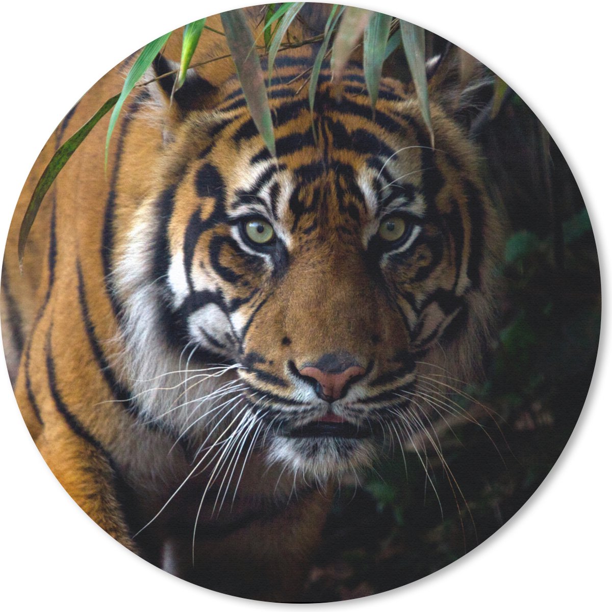 Muismat rond 40x40 cm - Mousepad Tijger - Bladeren - Jungle - Dieren - Wild - Ronde muismatten
