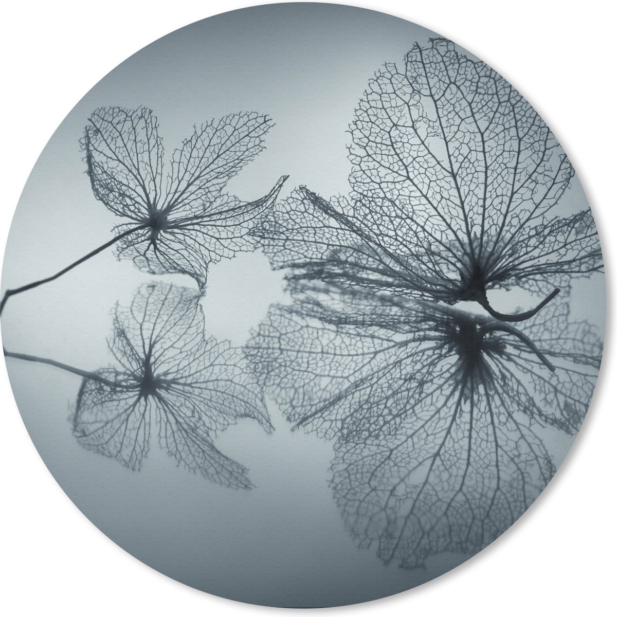 Muismat rond 50x50 cm - Mousepad Stilleven - Bladeren - Zwart - Wit - Ronde muismatten
