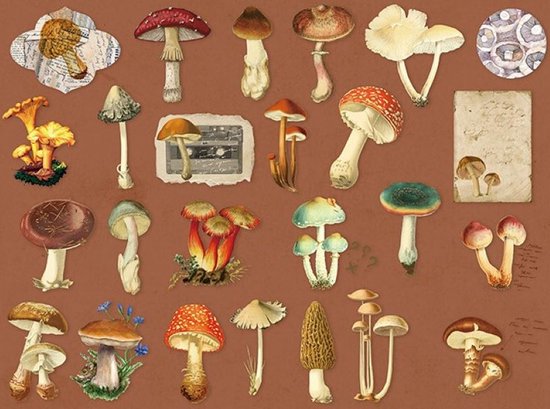 Set van 50 stickers - Forest Adventure - Paddenstoelen - Mushroom Sticker