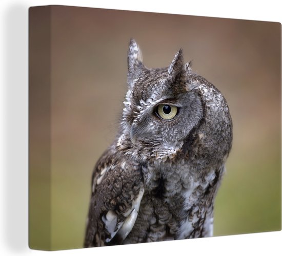 Gros plan d'un petit hibou sur toile 160x120 cm - Tirage photo sur toile (Décoration murale salon / chambre) XXL / Groot format!
