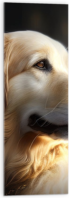 Acrylglas - Opzijkijkende Golden Retriever Hond - 30x90 cm Foto op Acrylglas (Met Ophangsysteem)