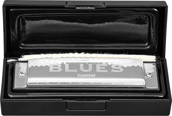 Foto: Cascha blues professionele mondharmonica voor volwassenen in toonsoort c met specter polish doek