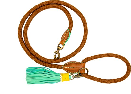 DWAM Dog with a Mission Hondenriem – Riem voor honden – Bruin – Polyester – L – 155 x 1.4 cm – Rover