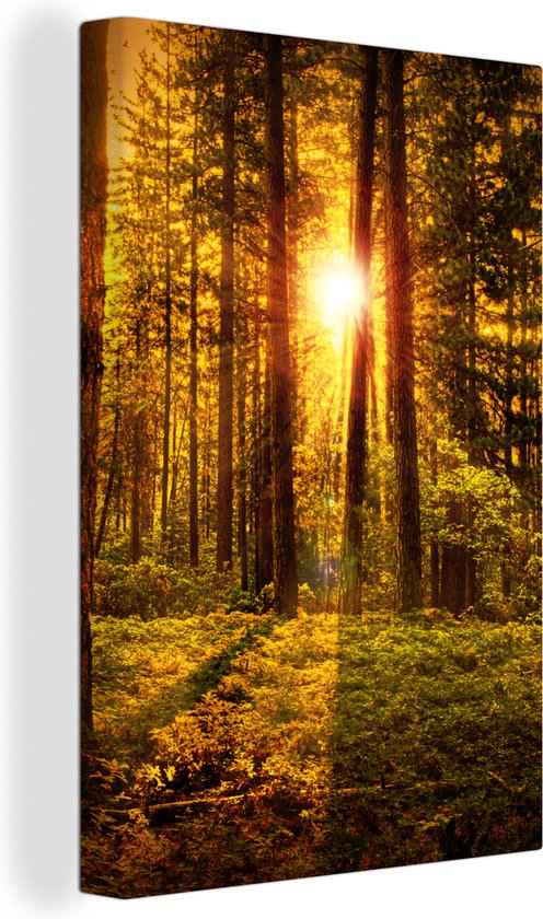 Toile - Toile nature - Soleil - Forêt - Vert - Nature - Décoration chambre - Tableau - Canvasdoek - 120x180 cm