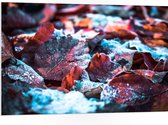 PVC Schuimplaat - Bladeren - Sneeuw - Herfst - Kleuren - 105x70 cm Foto op PVC Schuimplaat (Met Ophangsysteem)