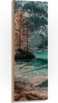 Hout - Bergen - Bomen - Water - 40x120 cm - 9 mm dik - Foto op Hout (Met Ophangsysteem)