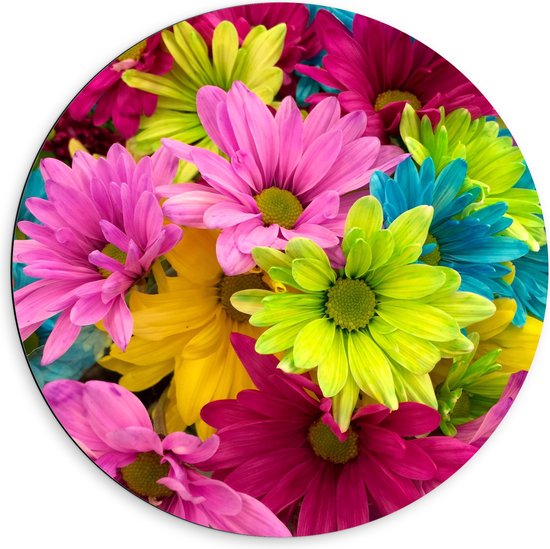 Dibond Muurcirkel - Bloemen - Kleuren- Natuur - 60x60 cm Foto op Aluminium Muurcirkel (met ophangsysteem)