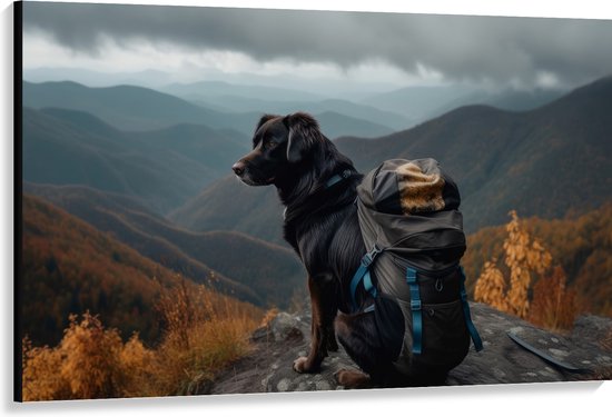 Canvas - Reizende Hond met Backpack op Top van de Berg - 150x100 cm Foto op Canvas Schilderij (Wanddecoratie op Canvas)