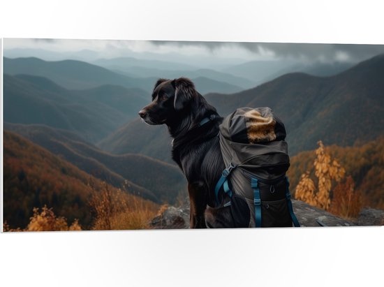 PVC Schuimplaat- Reizende Hond met Backpack op Top van de Berg - 100x50 cm Foto op PVC Schuimplaat