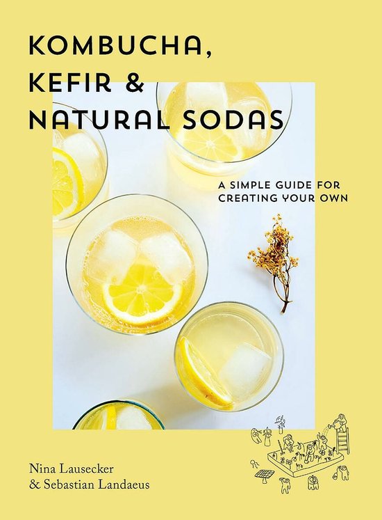 Foto: Kombucha kefir natural sodas