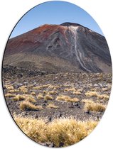 Dibond Ovaal - Berg - Stenen - Plantjes - 42x56 cm Foto op Ovaal (Met Ophangsysteem)