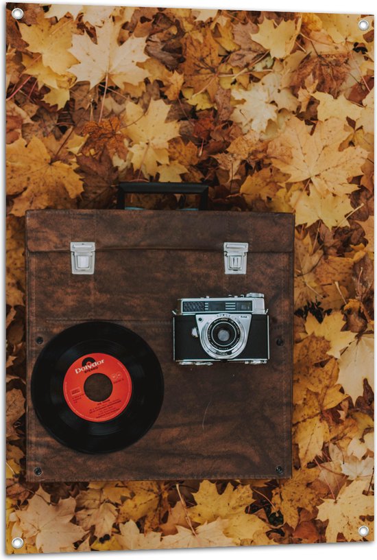 Tuinposter – Muziekplaat en Vintage Camera op Koffer tussen de Herfstbladeren - 70x105 cm Foto op Tuinposter (wanddecoratie voor buiten en binnen)