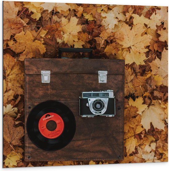 Dibond - Muziekplaat en Vintage Camera op Koffer tussen de Herfstbladeren - 100x100 cm Foto op Aluminium (Wanddecoratie van metaal)