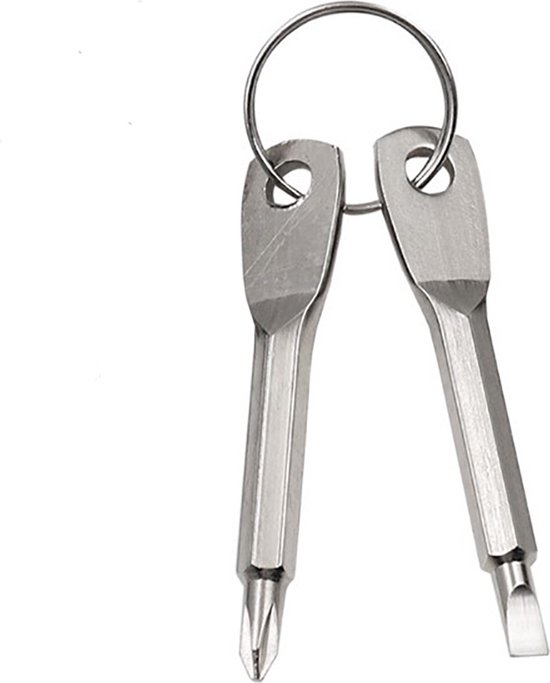 2 PCS Tournevis de Réparation de Poche pour Lunettes et Lunettes de Soleil  Porte-clés à