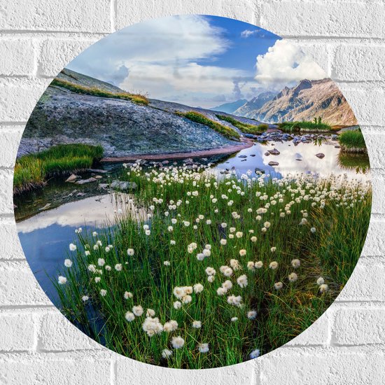 Muursticker Cirkel - Bergen - Water - Planten - Bloemen - Wolken - 60x60 cm Foto op Muursticker