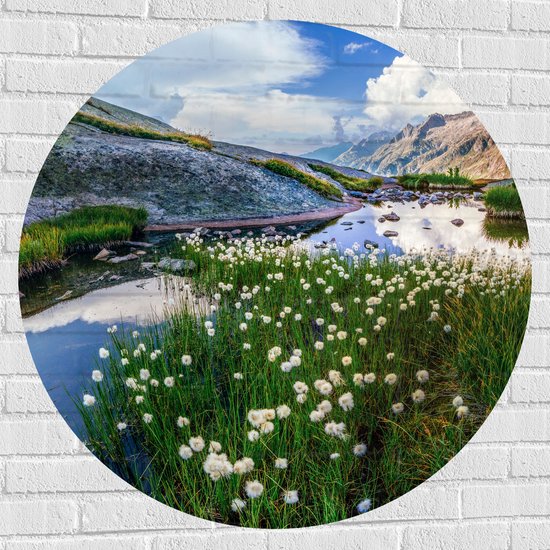 Muursticker Cirkel - Bergen - Water - Planten - Bloemen - Wolken - 100x100 cm Foto op Muursticker