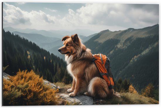 Dibond - Reizende Hond met Rugzak op Top van de Berg - 60x40 cm Foto op Aluminium (Wanddecoratie van metaal)