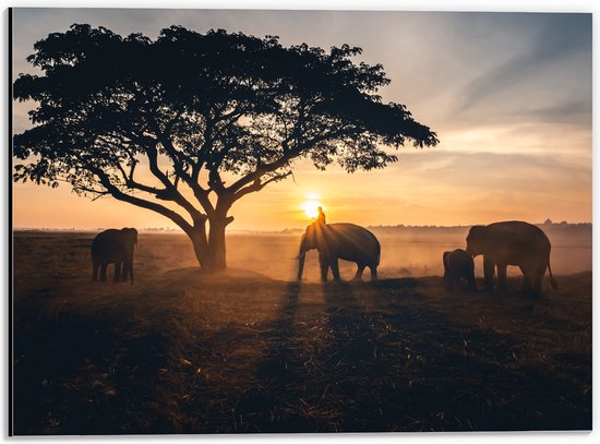 Dibond - Olifanten Kudde Lopend op Vlakte - 40x30 cm Foto op Aluminium (Met Ophangsysteem)