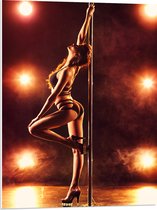 PVC Schuimplaat- Sexy Paaldanseres op Podium - 60x80 cm Foto op PVC Schuimplaat