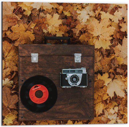 Dibond - Muziekplaat en Vintage Camera op Koffer tussen de Herfstbladeren - 50x50 cm Foto op Aluminium (Wanddecoratie van metaal)