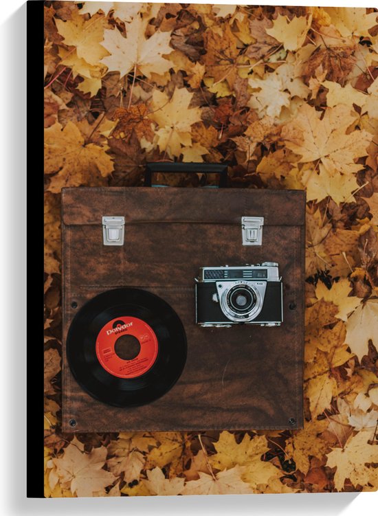 Canvas - Muziekplaat en Vintage Camera op Koffer tussen de Herfstbladeren - 40x60 cm Foto op Canvas Schilderij (Wanddecoratie op Canvas)