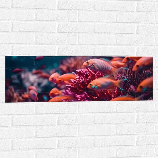 Muursticker - Groep oranje vissen zwemmen door een roze koraal heen - 90x30 cm Foto op Muursticker
